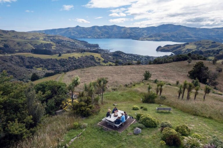 akaroa nature history private tour 768x512