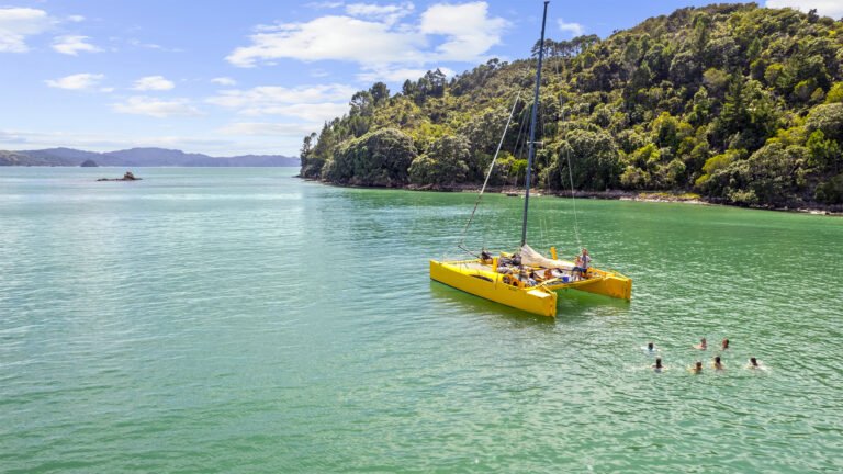 boom sailing charters cathedral cove sailing tour 768x432