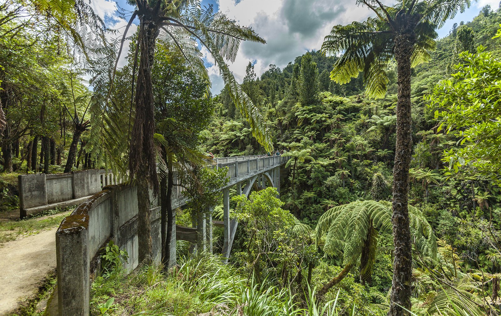 Bridge to Nowhere surrounded by native forest in Whanganui National Park