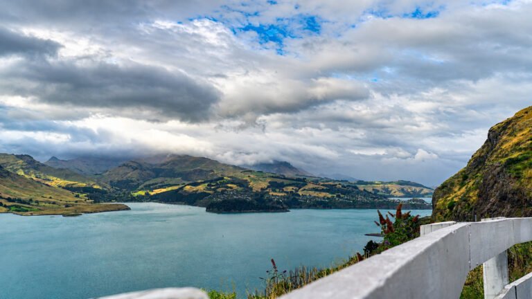 christchurch sightseeing tours 768x432