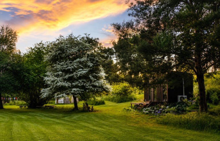 elemental garden north canterbury retreat accommodation 768x491