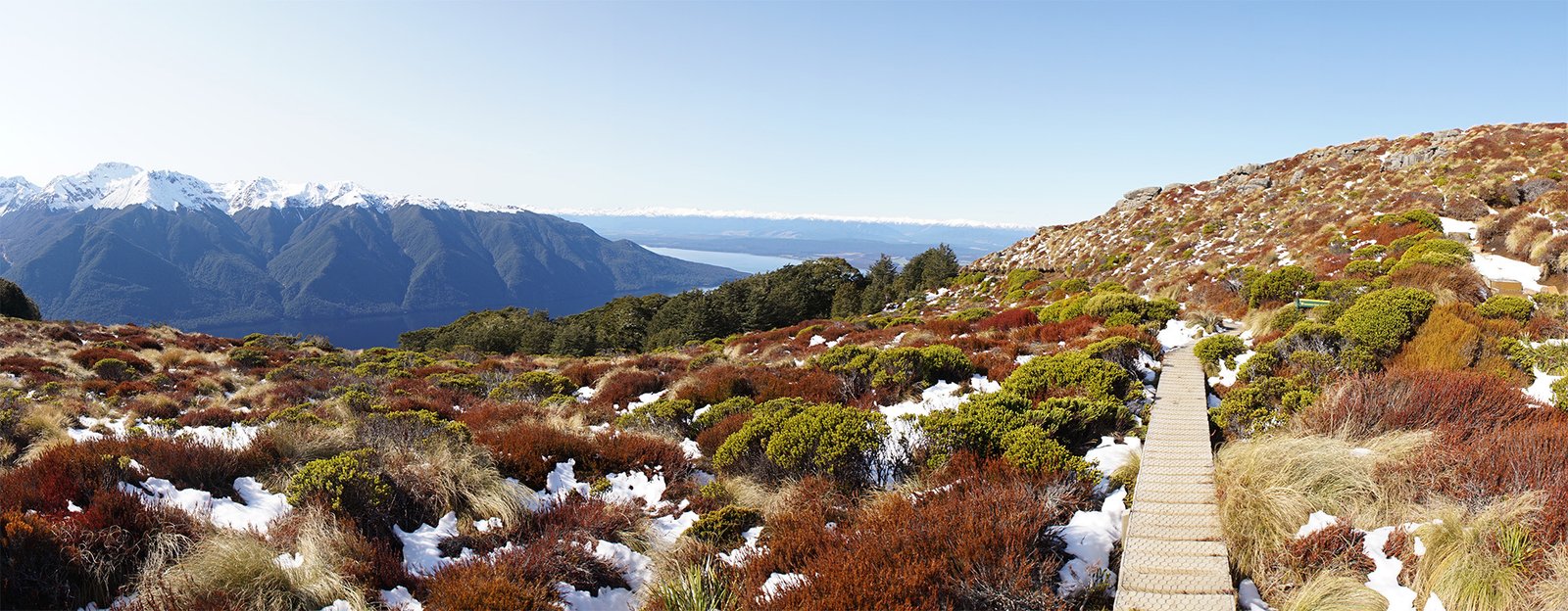 Alpine views from the Kepler Track in Fiordland National Park