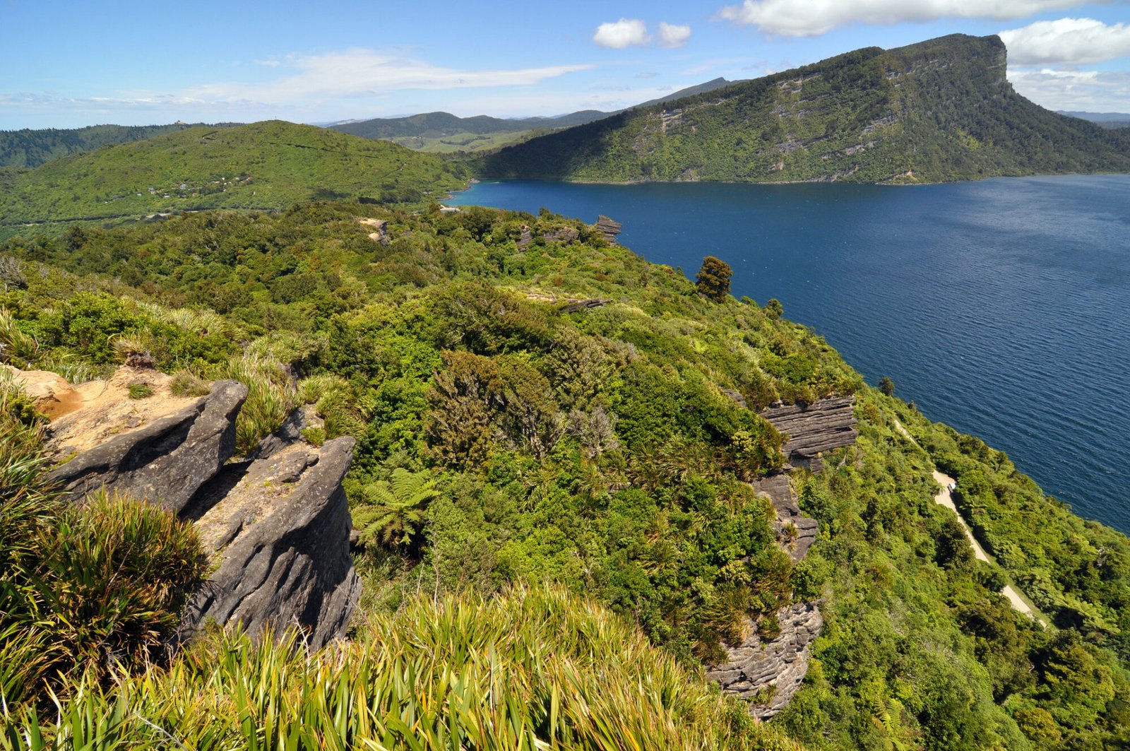 Lake Waikaremoana Great Walk beside the lake in Te Urewera