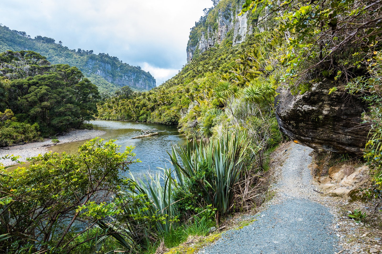 Pororari River Track near Punakaiki on the West Coast of New Zealand