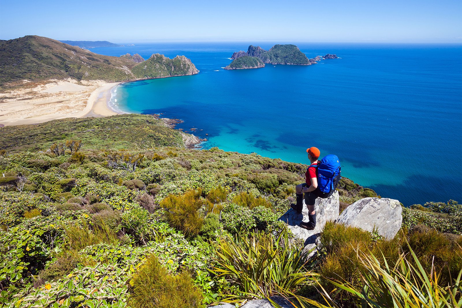 Hiker on the Rakiura Track on Stewart Island Rakiura