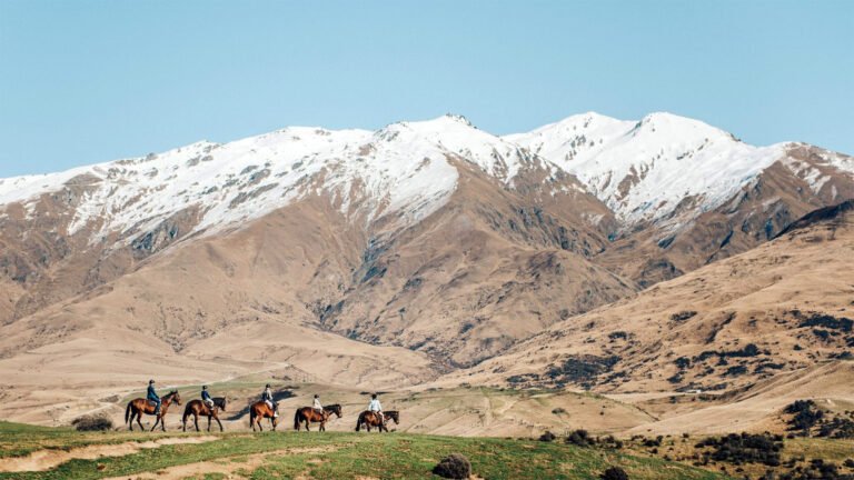 the cardrona horse trekking cardrona valley 768x432