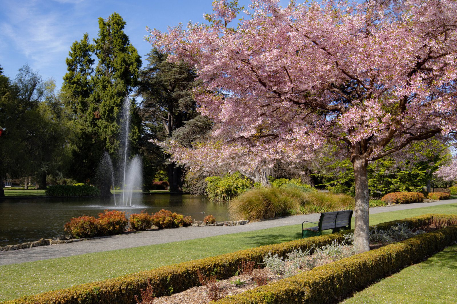 Hawke’s Bay in Spring & Summer: Sunshine, Events and Days Worth Travelling For