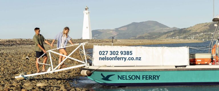 nelson harbour cruise nelson ferry lighthouse 768x318