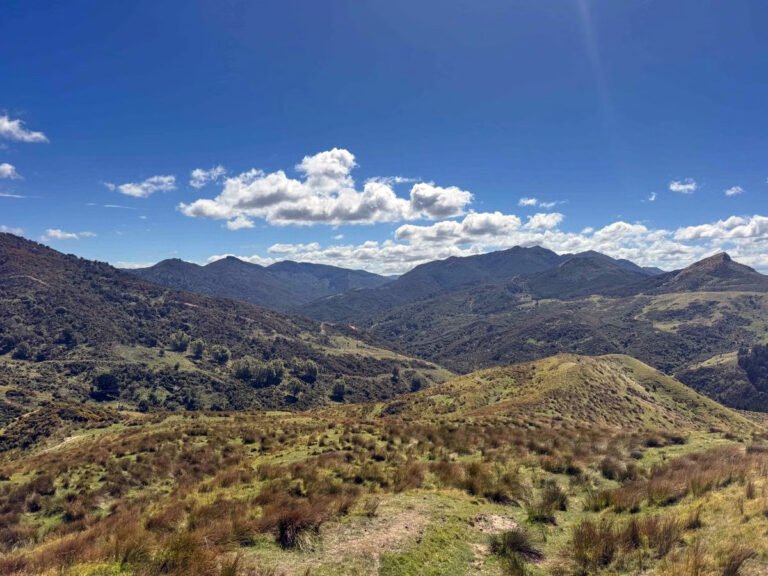 okau hunting new zealand hunting country 768x576