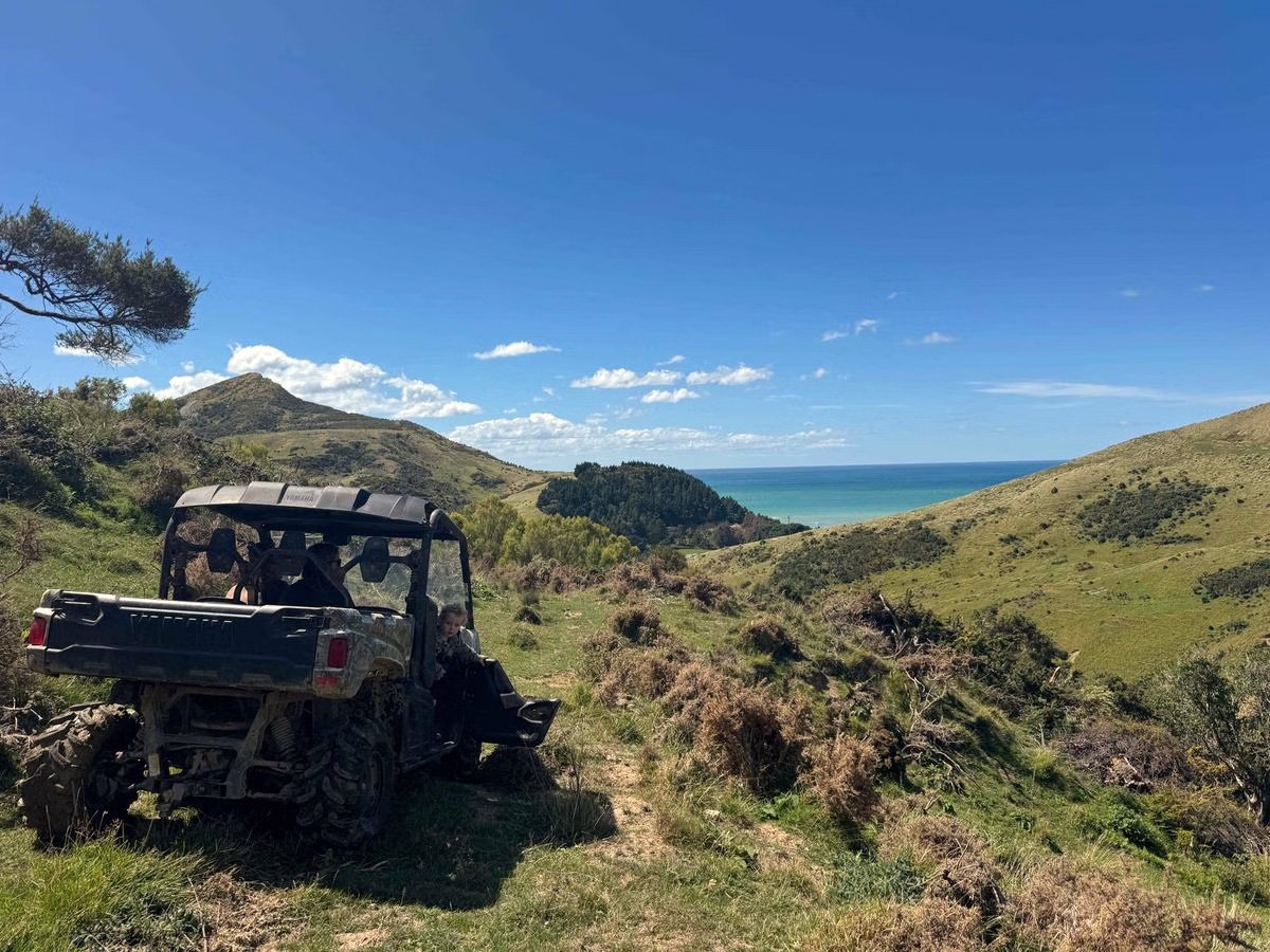 Okau Hunting – NZ Hunting Packages, Wairarapa