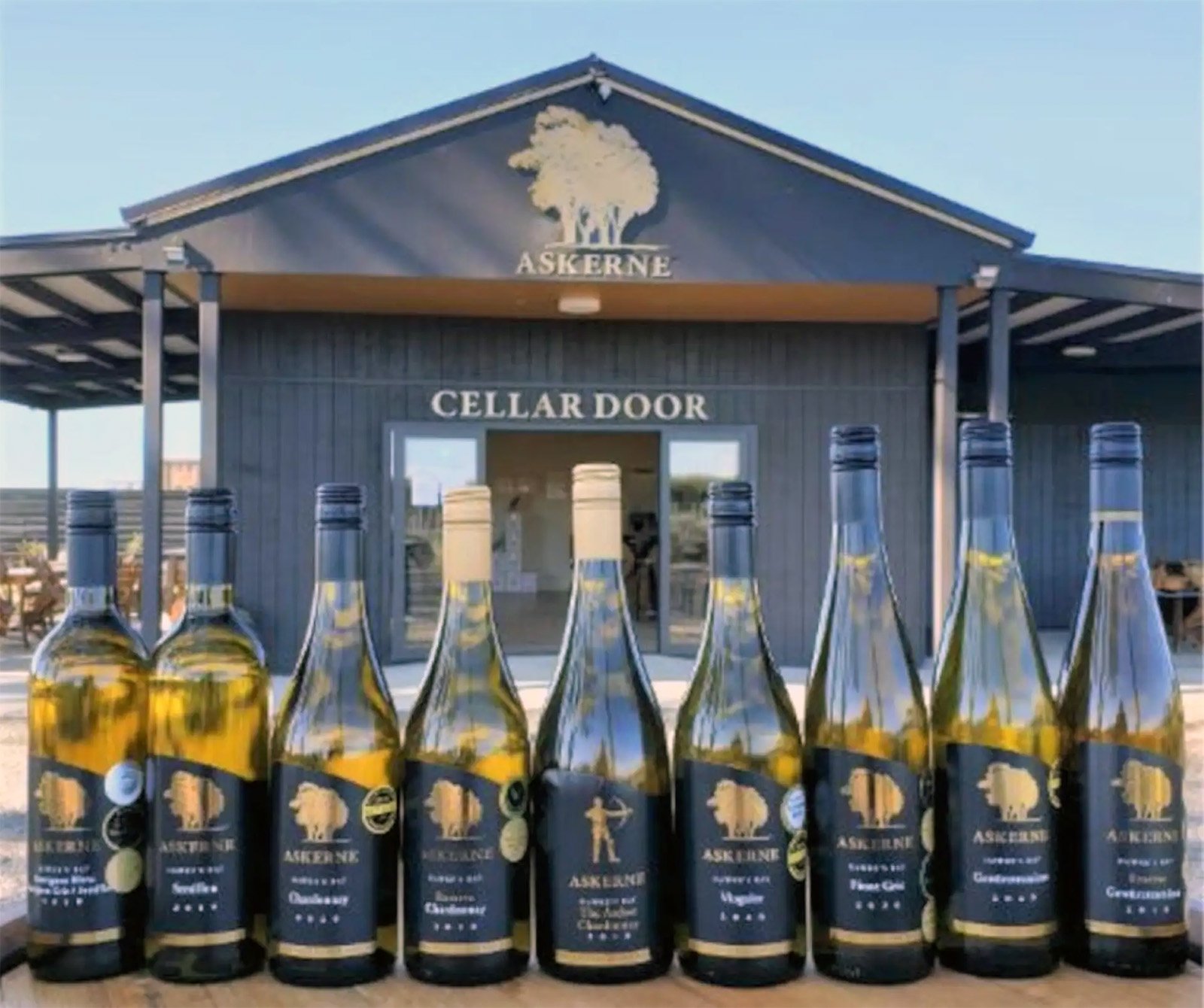 Vines and Views – Napier Wine Tours & Shore Excursions photo 4