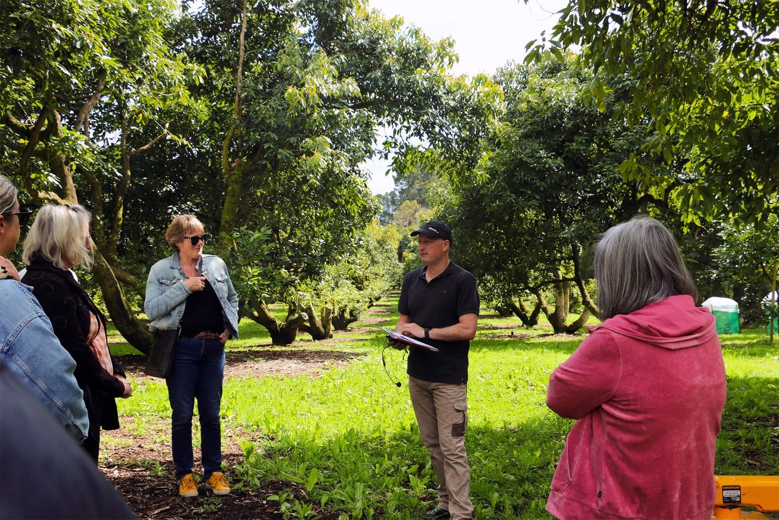 Avocado Tours – Guided Orchard Tours, Katikati