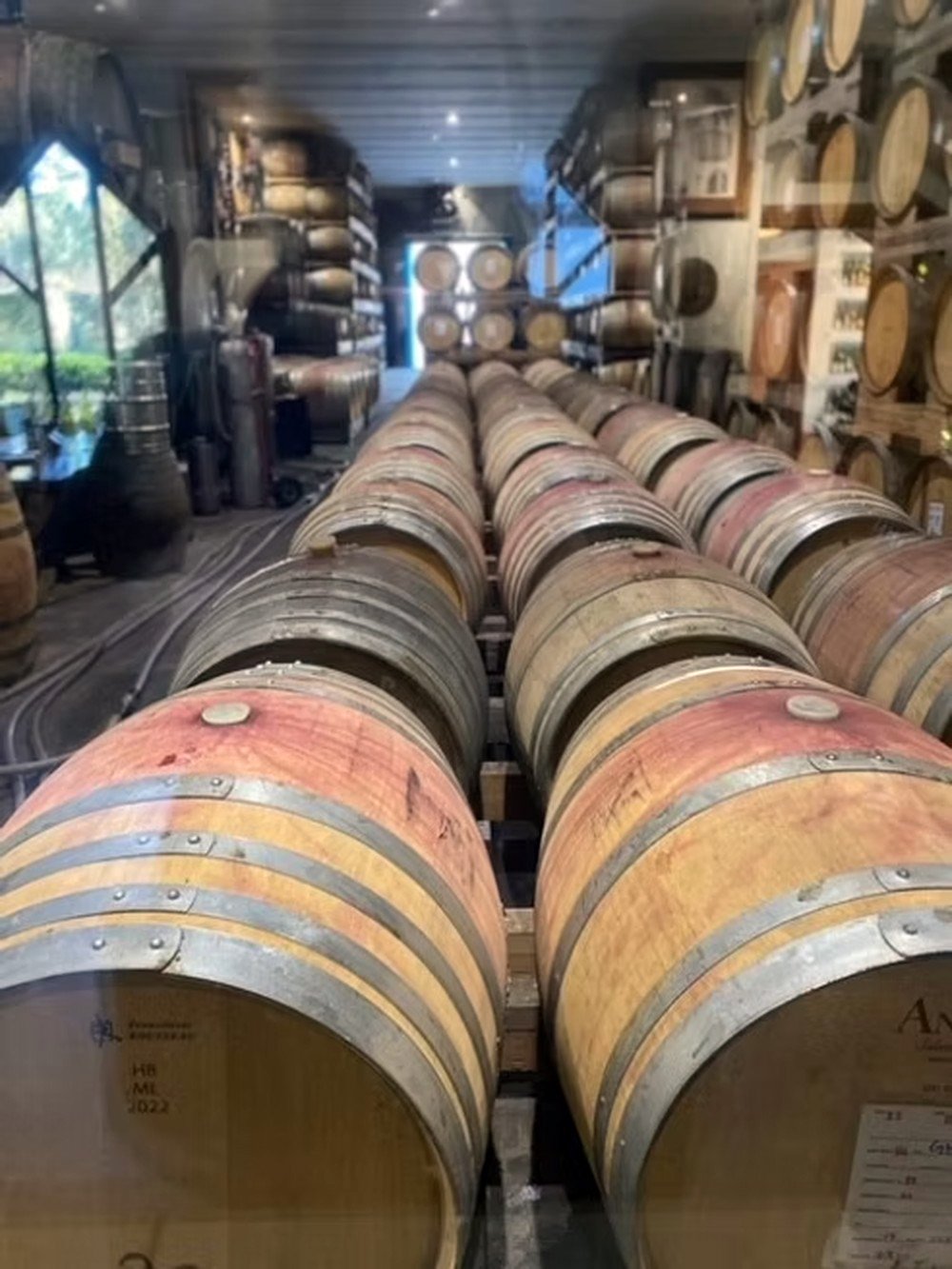 Giles Tours – Christchurch Wine Tours photo 3