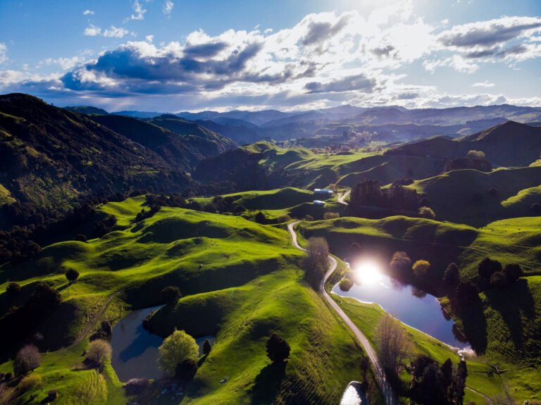 mahaanui tiniroto farmstay gisborne 768x575