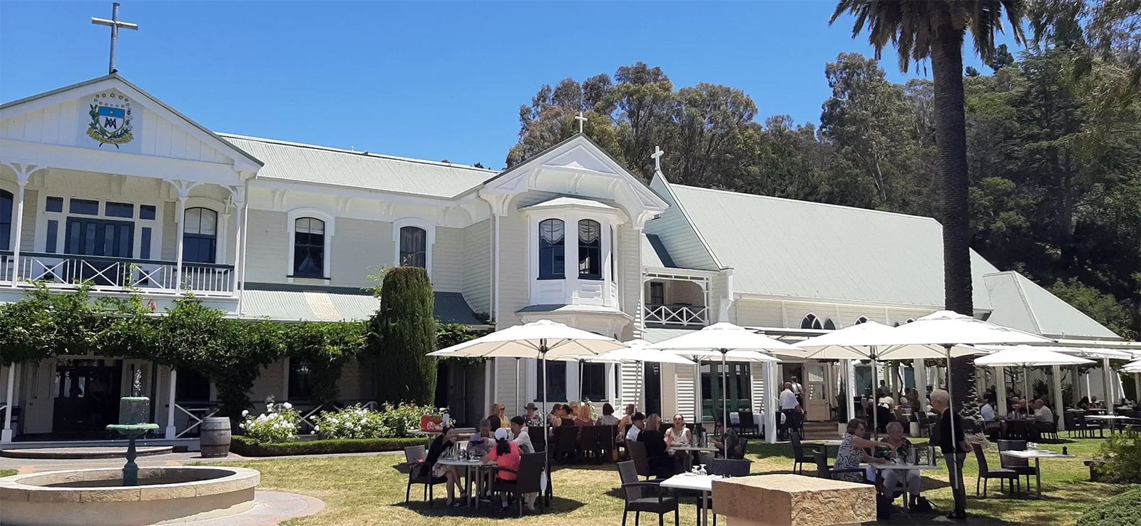 Vines and Views – Napier Wine Tours & Shore Excursions photo 3