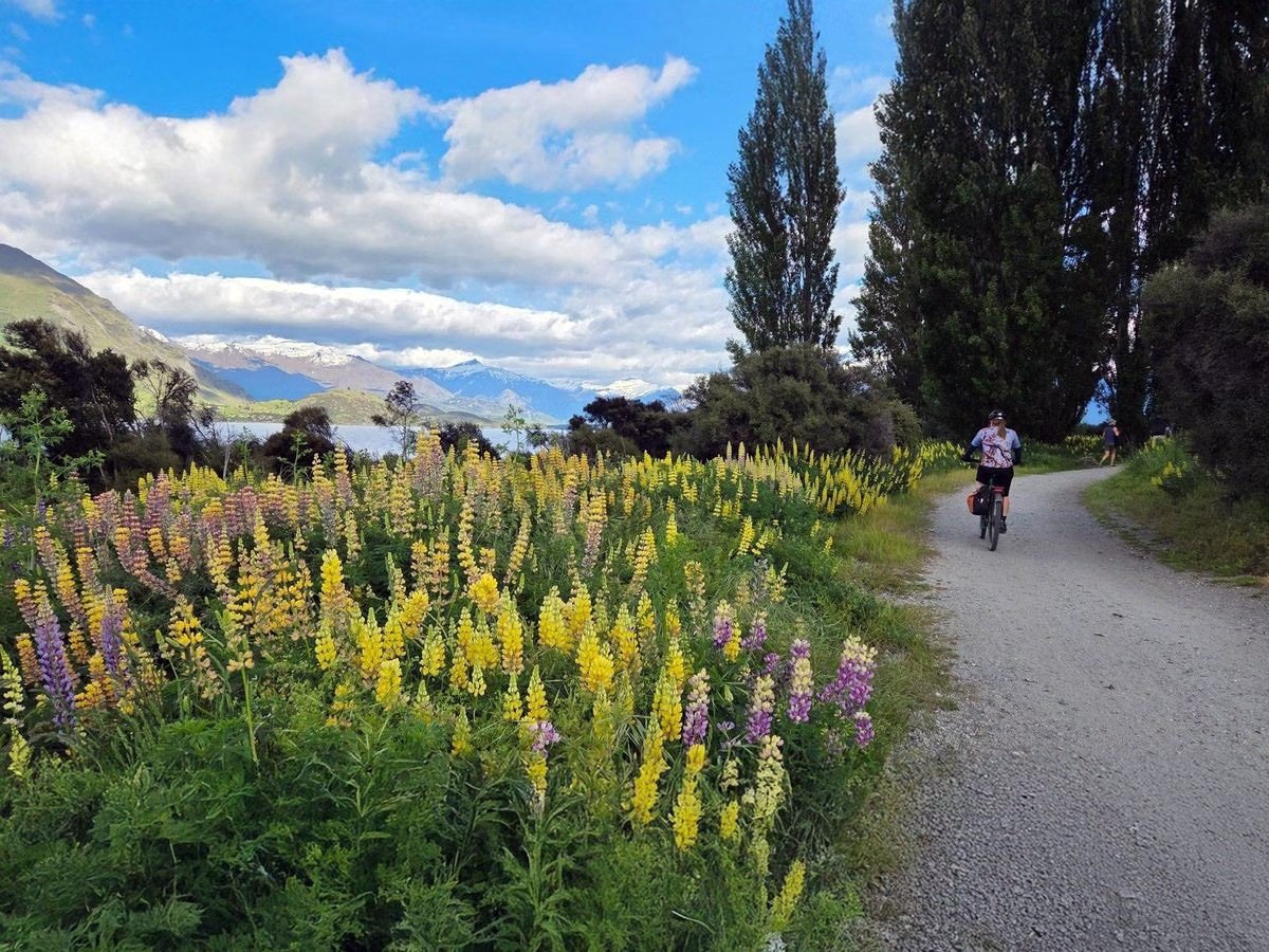 Pacific Cycle Tours – Guided & Self-Guided Bike Tours NZ photo 4
