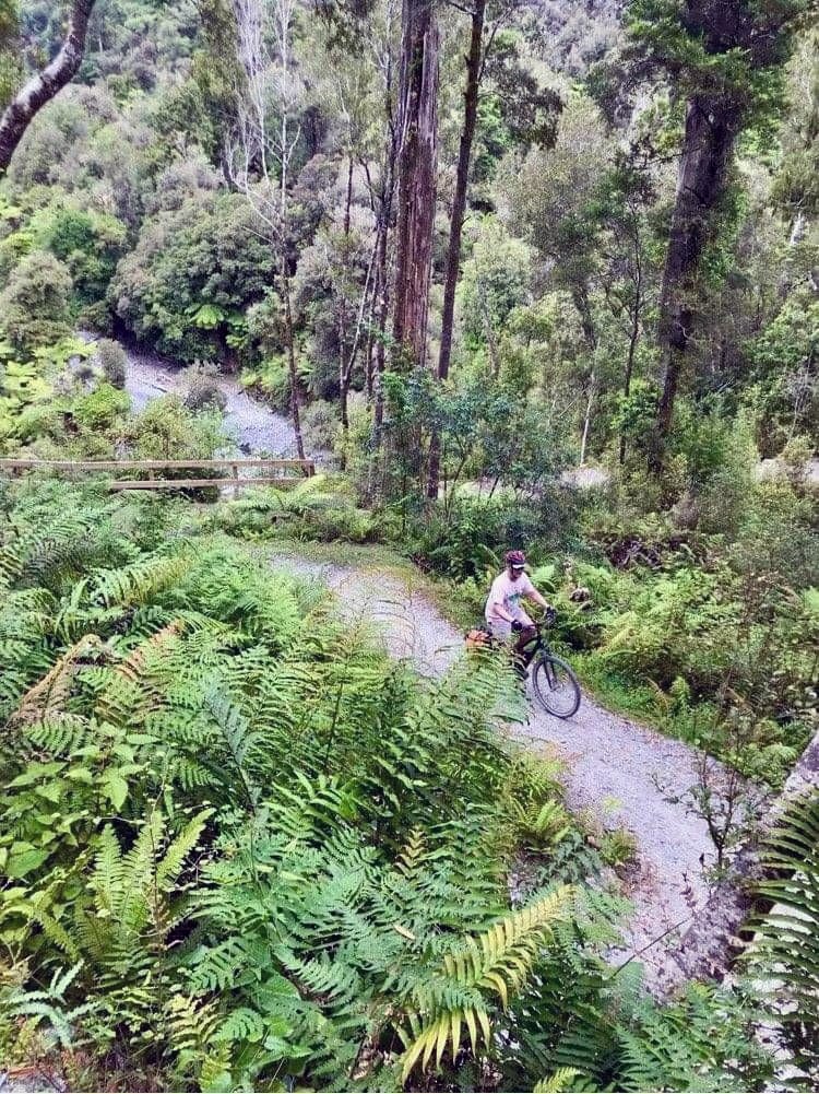 Pacific Cycle Tours – Guided & Self-Guided Bike Tours NZ photo 5