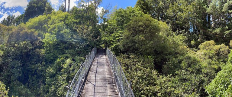 te popo gardens taranaki suspension bridge 768x320