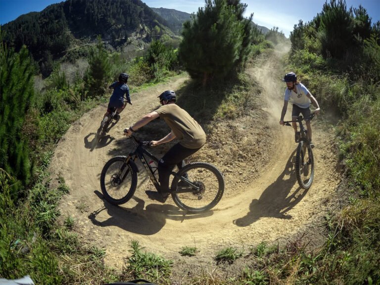 that place mountain biking whanganui trails 768x576
