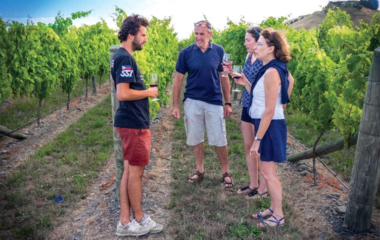 the winemakers tour hawkes bay wine tours 768x485