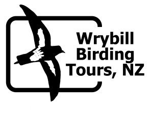 Wrybill birding tours new zealand logo